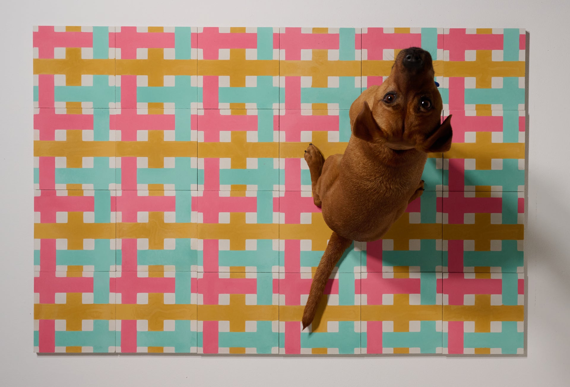 Weave on the Wall par Noa Rebout