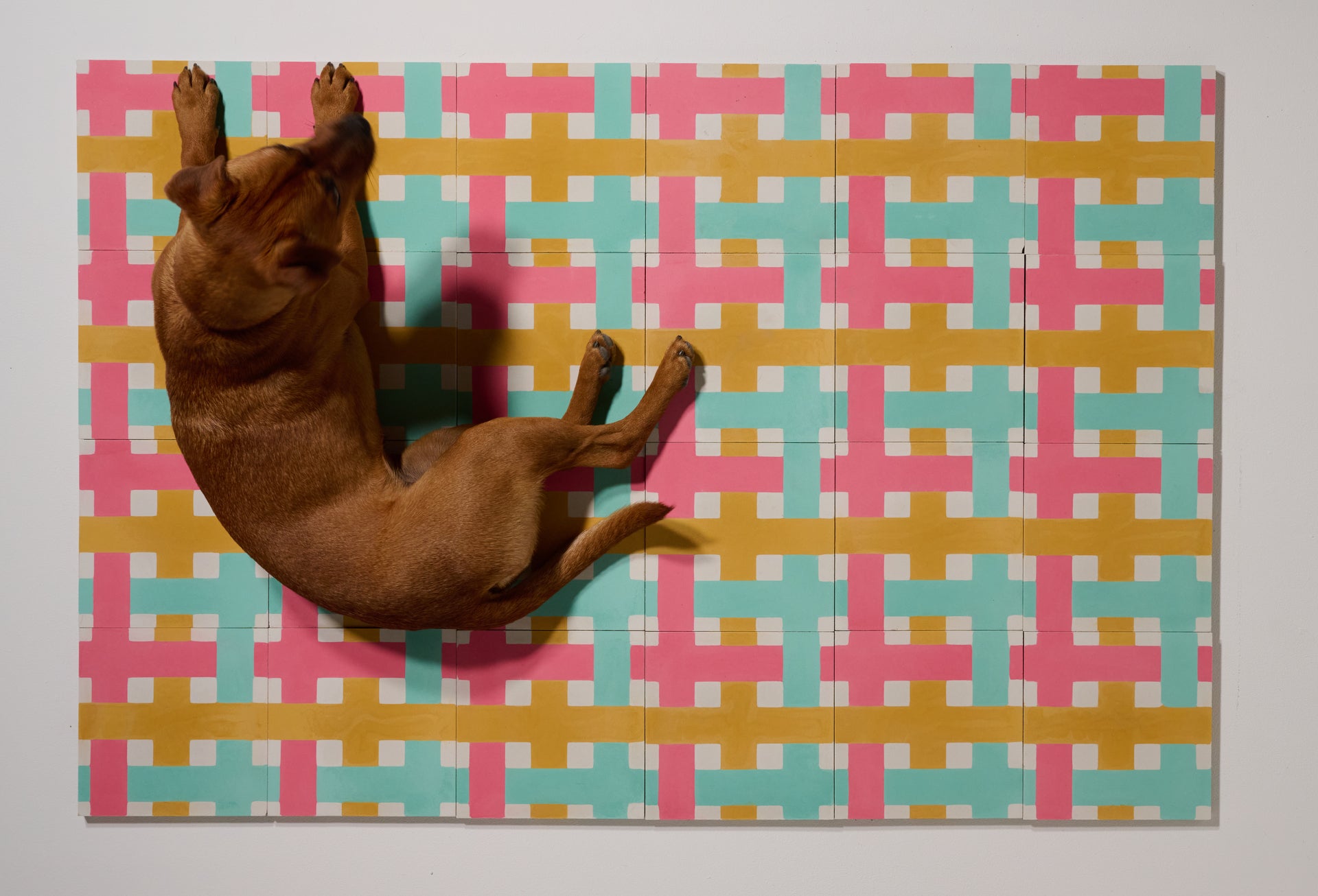 Weave on the Wall par Noa Rebout