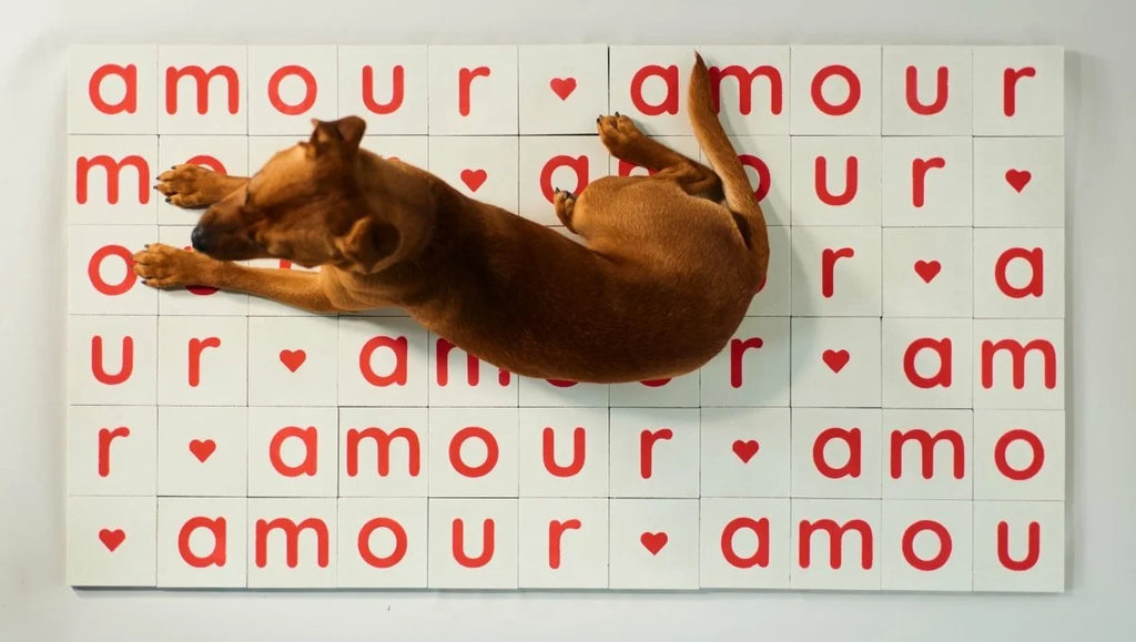 Amour par César Bazaar