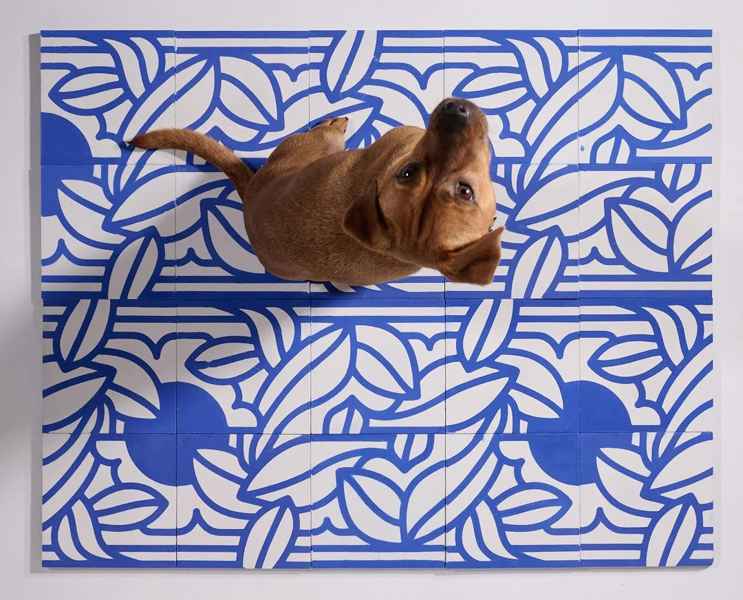 Jardin d’Azur par Léa Georgelin