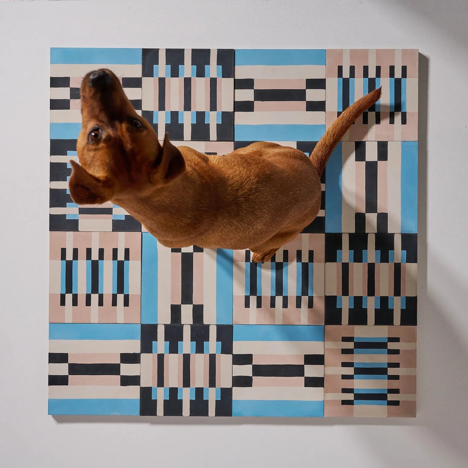 Continuum version beige par Studio Hélioscope