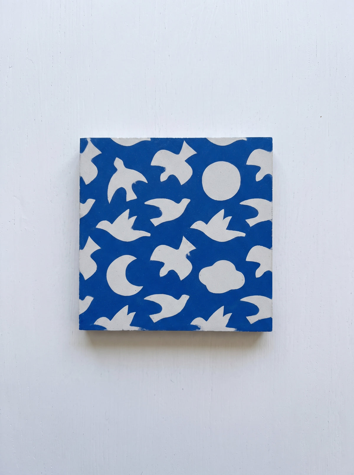 Le ciel, les oiseaux ou... la mer ! Par Brice Canet